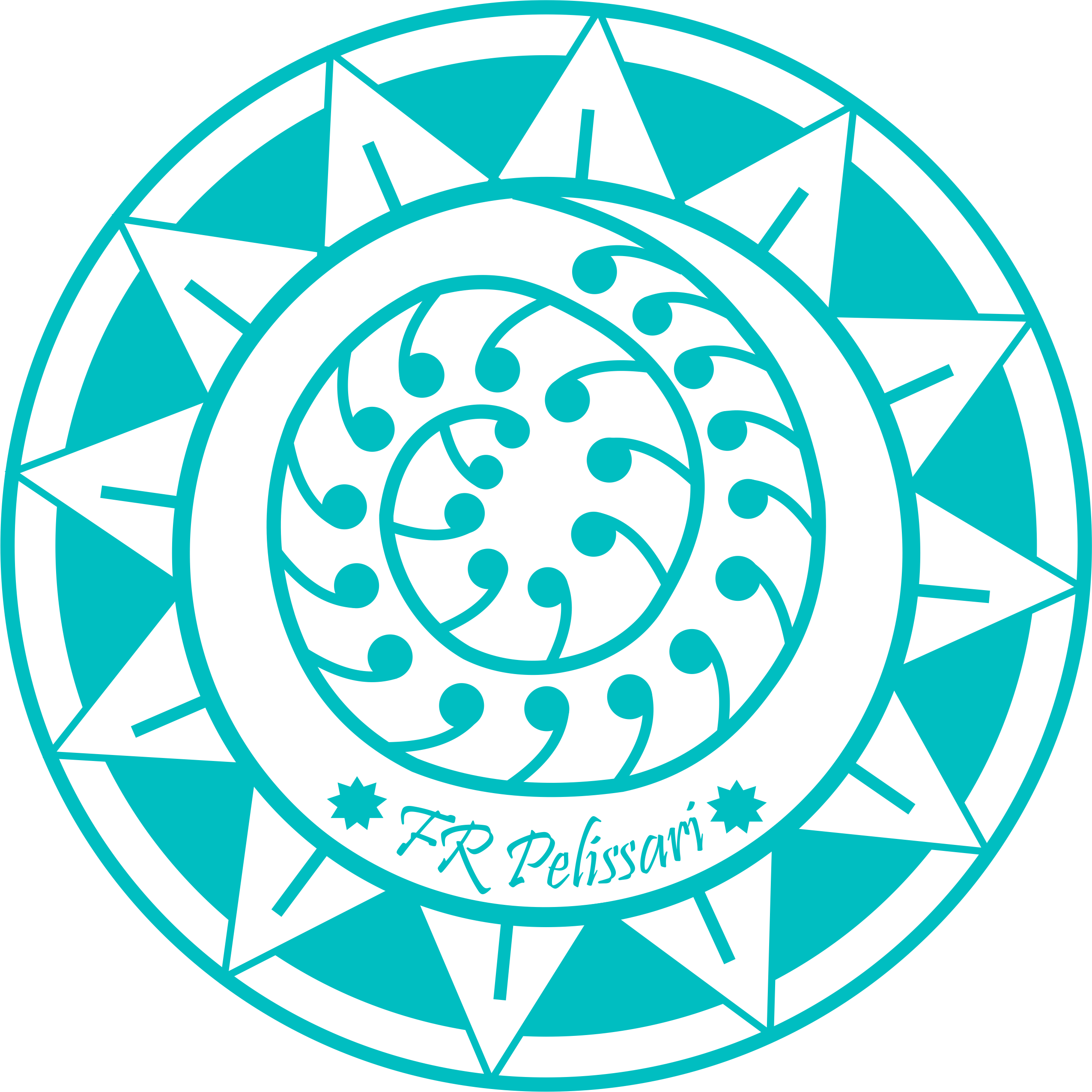 Logo FRPelissari